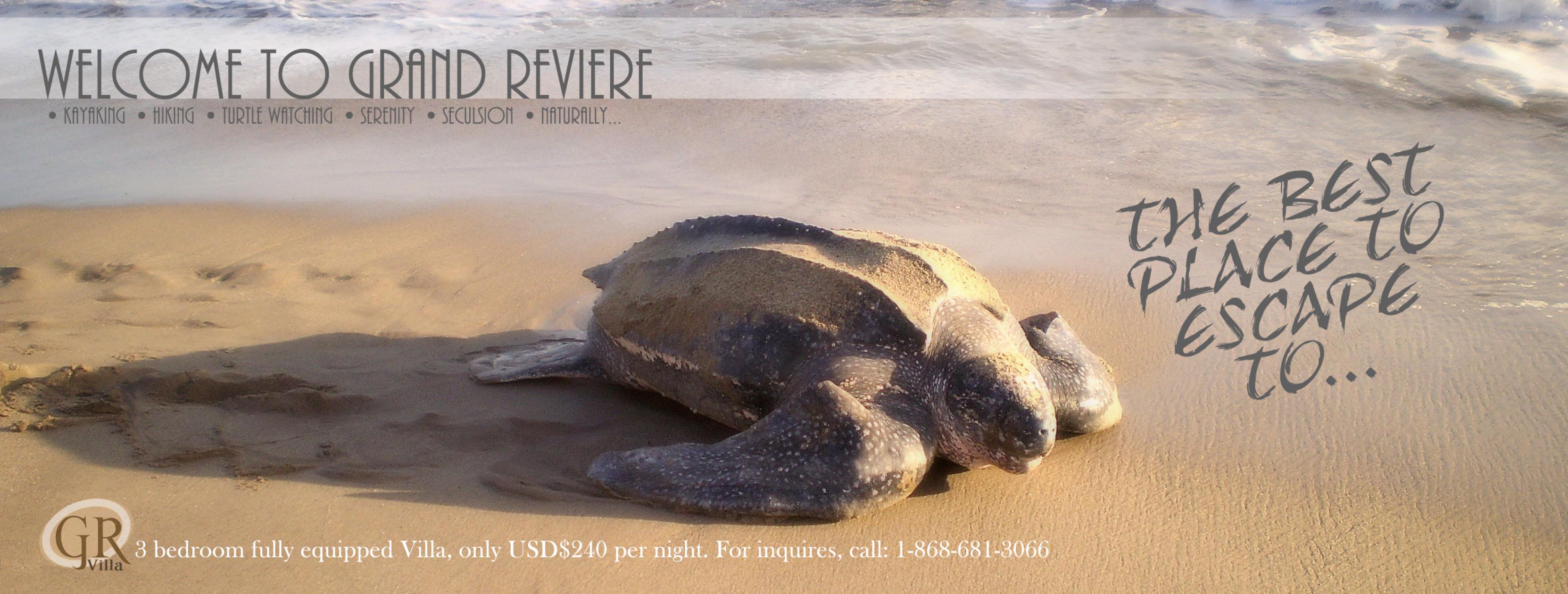 Grande Riviere Villa Trinidad & Tobago Villas Hotels & Vacation rentals